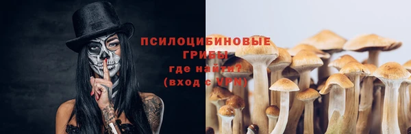 гашиш Касимов