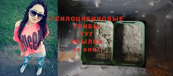 гашиш Касимов