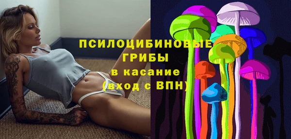 гашиш Касимов